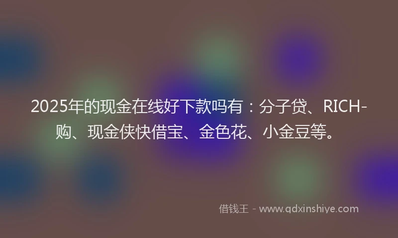 2025年的现金在线好下款吗有：分子贷、RICH-购、现金侠快借宝、金色花、小金豆等。