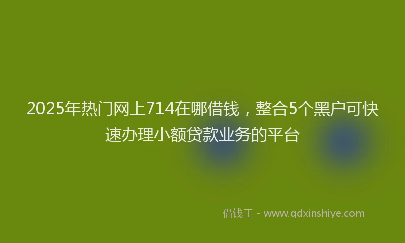 2025年热门网上714在哪借钱，整合5个黑户可快速办理小额贷款业务的平台