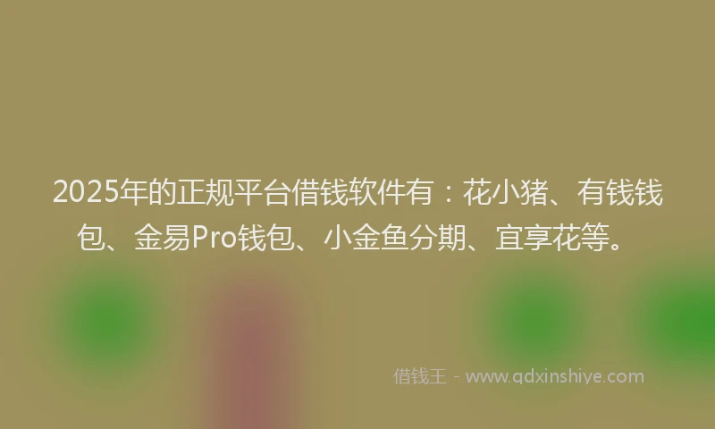 2025年的正规平台借钱软件有：花小猪、有钱钱包、金易Pro钱包、小金鱼分期、宜享花等。