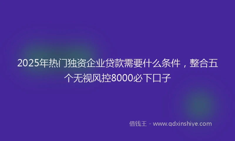 2025年热门独资企业贷款需要什么条件，整合五个无视风控8000必下口子