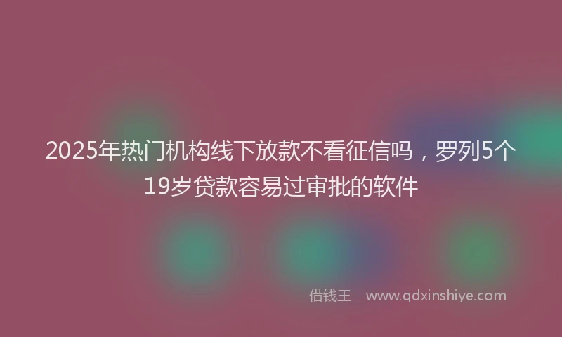 2025年热门机构线下放款不看征信吗，罗列5个19岁贷款容易过审批的软件
