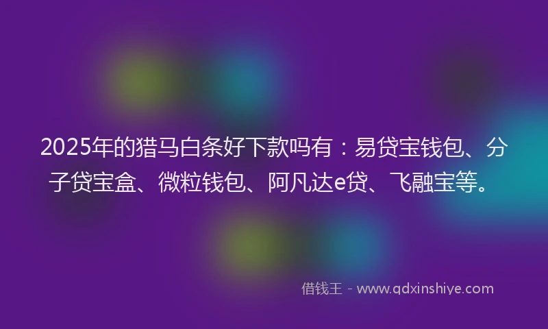 2025年的猎马白条好下款吗有：易贷宝钱包、分子贷宝盒、微粒钱包、阿凡达e贷、飞融宝等。