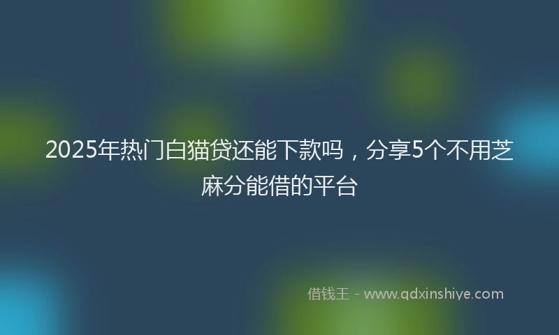 2025年热门白猫贷还能下款吗，分享5个不用芝麻分能借的平台