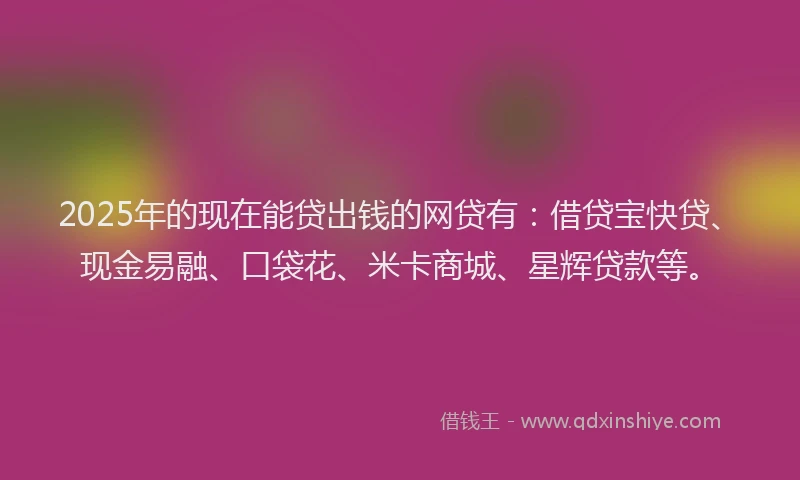 2025年的现在能贷出钱的网贷有：借贷宝快贷、现金易融、口袋花、米卡商城、星辉贷款等。