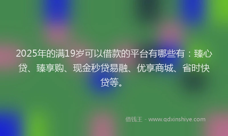 2025年的满19岁可以借款的平台有哪些有：臻心贷、臻享购、现金秒贷易融、优享商城、省时快贷等。