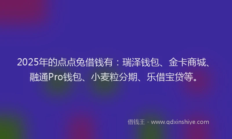 2025年的点点兔借钱有：瑞泽钱包、金卡商城、融通Pro钱包、小麦粒分期、乐借宝贷等。