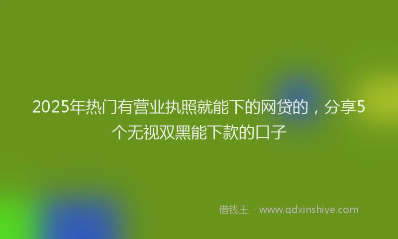 2025年热门有营业执照就能下的网贷的，分享5个无视双黑能下款的口子