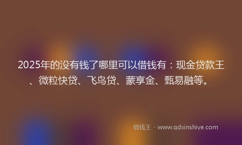 2025年的没有钱了哪里可以借钱有：现金贷款王、微粒快贷、飞鸟贷、蒙享金、甄易融等。