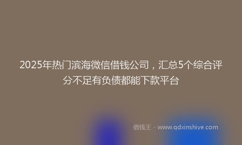 2025年热门滨海微信借钱公司，汇总5个综合评分不足有负债都能下款平台