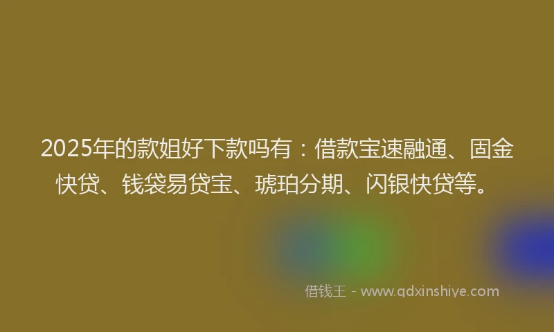 2025年的款姐好下款吗有：借款宝速融通、固金快贷、钱袋易贷宝、琥珀分期、闪银快贷等。