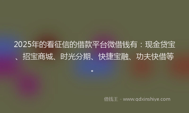 2025年的看征信的借款平台微借钱有：现金贷宝、招宝商城、时光分期、快捷宝融、功夫快借等。