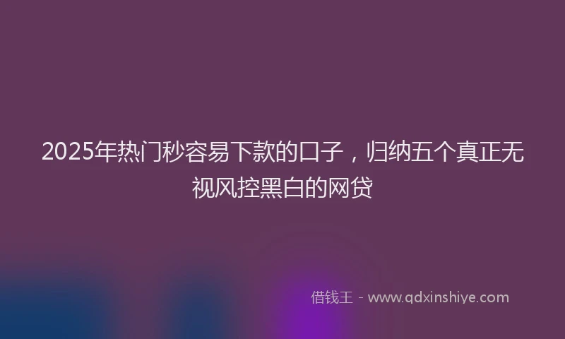 2025年热门秒容易下款的口子，归纳五个真正无视风控黑白的网贷