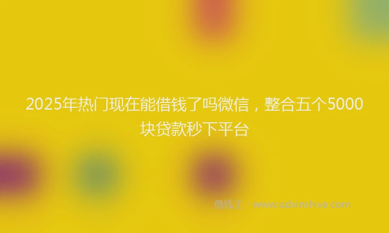 2025年热门现在能借钱了吗微信，整合五个5000块贷款秒下平台