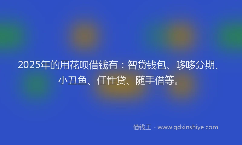 2025年的用花呗借钱有：智贷钱包、哆哆分期、小丑鱼、任性贷、随手借等。