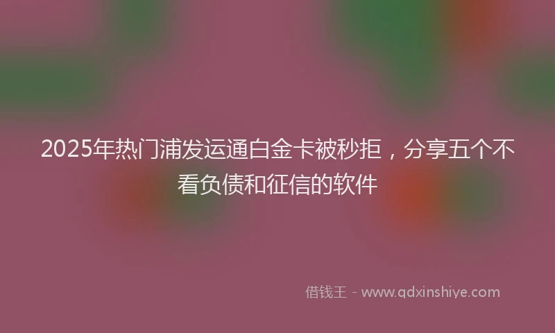 2025年热门浦发运通白金卡被秒拒，分享五个不看负债和征信的软件