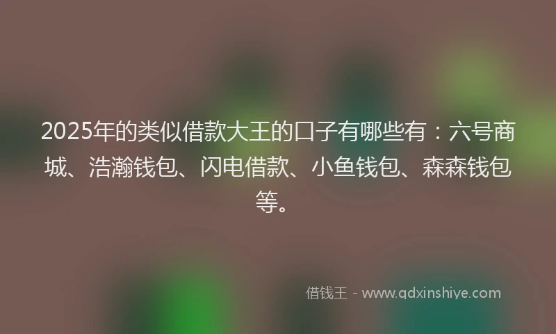 2025年的类似借款大王的口子有哪些有：六号商城、浩瀚钱包、闪电借款、小鱼钱包、森森钱包等。
