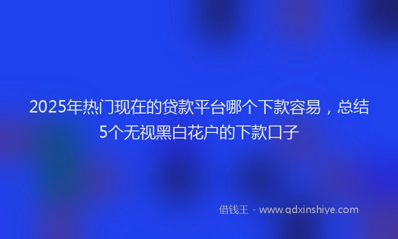 2025年热门现在的贷款平台哪个下款容易，总结5个无视黑白花户的下款口子