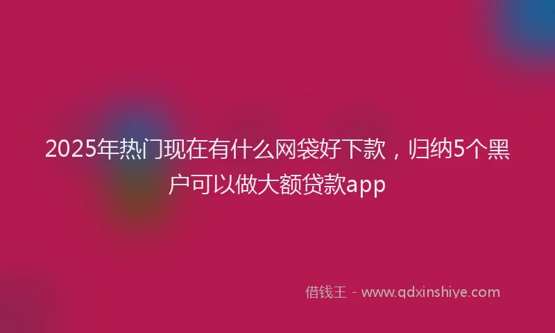 2025年热门现在有什么网袋好下款，归纳5个黑户可以做大额贷款app