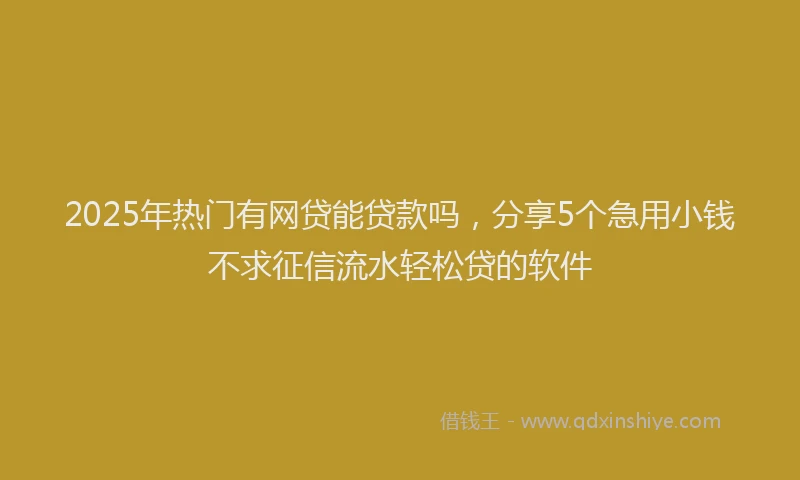 2025年热门有网贷能贷款吗，分享5个急用小钱不求征信流水轻松贷的软件