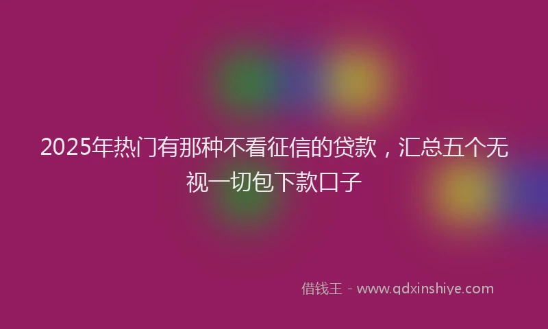 2025年热门有那种不看征信的贷款，汇总五个无视一切包下款口子
