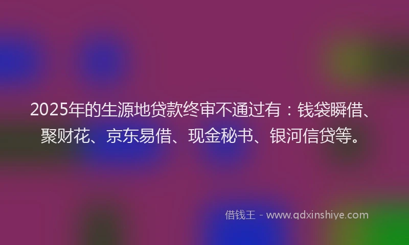 2025年的生源地贷款终审不通过有：钱袋瞬借、聚财花、京东易借、现金秘书、银河信贷等。
