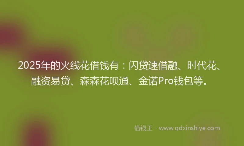 2025年的火线花借钱有：闪贷速借融、时代花、融资易贷、森森花呗通、金诺Pro钱包等。