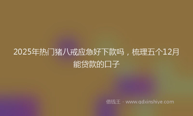 2025年热门猪八戒应急好下款吗，梳理五个12月能贷款的口子