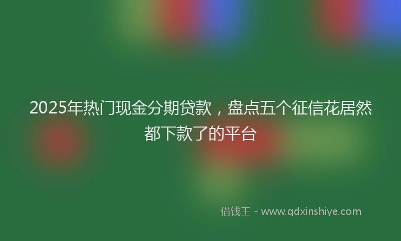 2025年热门现金分期贷款，盘点五个征信花居然都下款了的平台