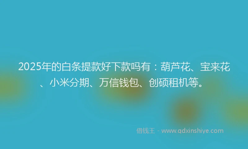2025年的白条提款好下款吗有：葫芦花、宝来花、小米分期、万信钱包、创硕租机等。