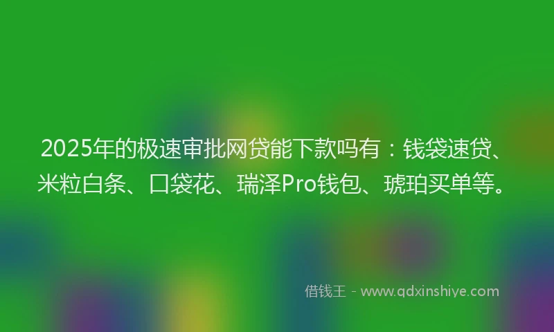 2025年的极速审批网贷能下款吗有：钱袋速贷、米粒白条、口袋花、瑞泽Pro钱包、琥珀买单等。