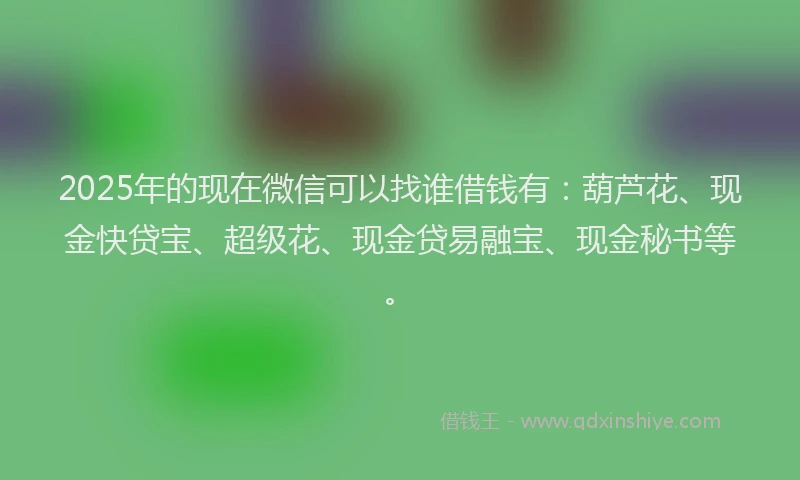 2025年的现在微信可以找谁借钱有：葫芦花、现金快贷宝、超级花、现金贷易融宝、现金秘书等。
