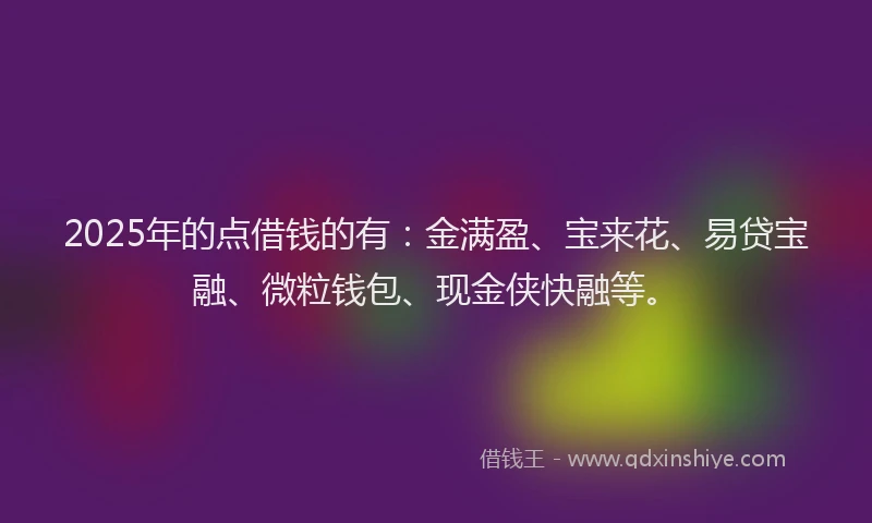 2025年的点借钱的有：金满盈、宝来花、易贷宝融、微粒钱包、现金侠快融等。