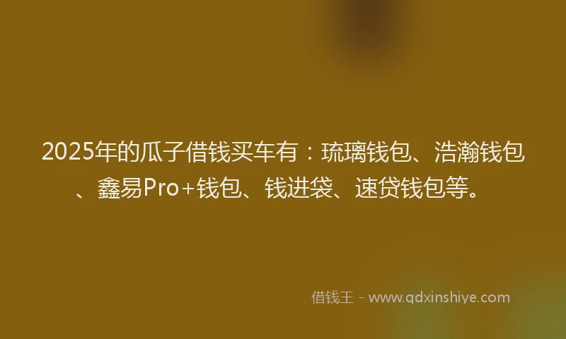 2025年的瓜子借钱买车有：琉璃钱包、浩瀚钱包、鑫易Pro+钱包、钱进袋、速贷钱包等。