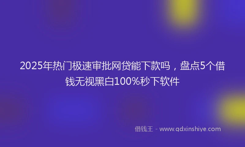 2025年热门极速审批网贷能下款吗，盘点5个借钱无视黑白100%秒下软件