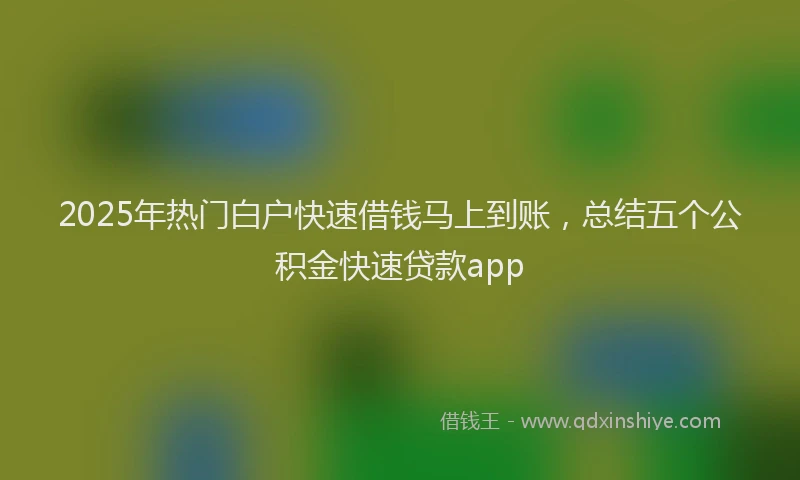 2025年热门白户快速借钱马上到账，总结五个公积金快速贷款app