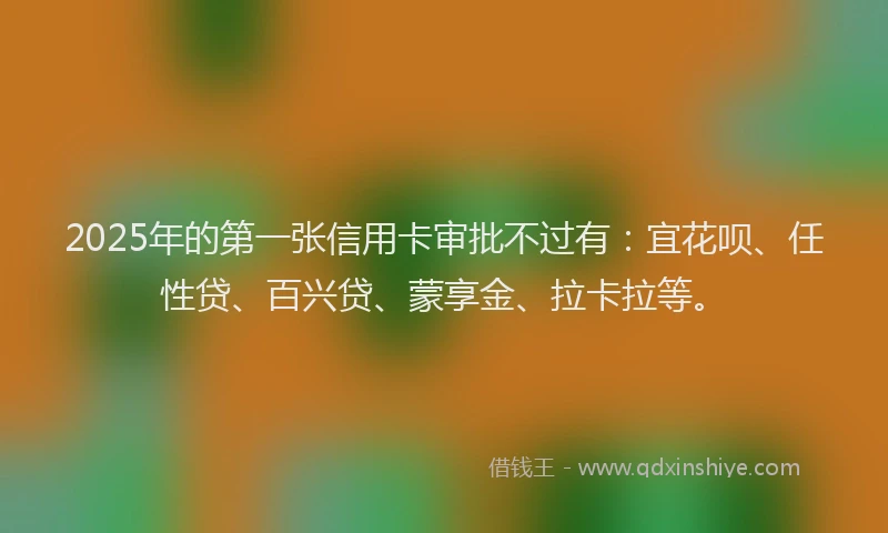 2025年的第一张信用卡审批不过有：宜花呗、任性贷、百兴贷、蒙享金、拉卡拉等。