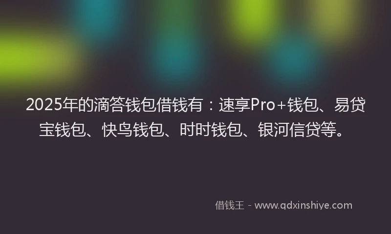 2025年的滴答钱包借钱有：速享Pro+钱包、易贷宝钱包、快鸟钱包、时时钱包、银河信贷等。