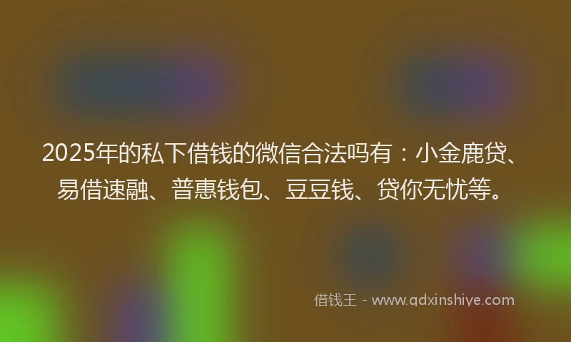 2025年的私下借钱的微信合法吗有：小金鹿贷、易借速融、普惠钱包、豆豆钱、贷你无忧等。