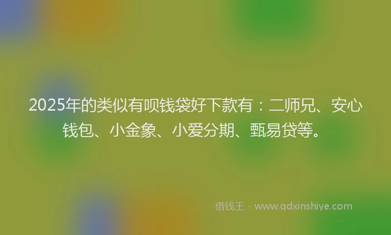 2025年的类似有呗钱袋好下款有：二师兄、安心钱包、小金象、小爱分期、甄易贷等。