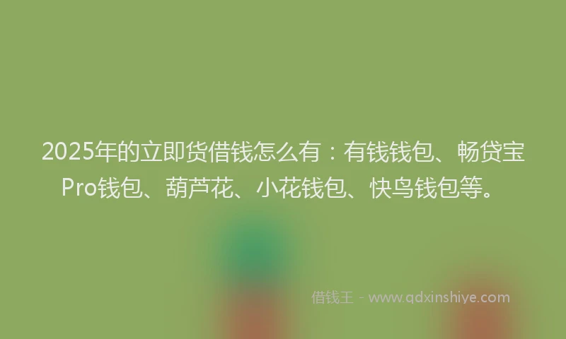 2025年的立即货借钱怎么有：有钱钱包、畅贷宝Pro钱包、葫芦花、小花钱包、快鸟钱包等。