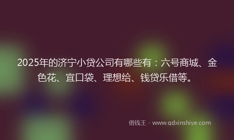2025年的济宁小贷公司有哪些有：六号商城、金色花、宜口袋、理想给、钱贷乐借等。