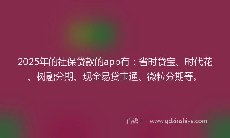 2025年的社保贷款的app有：省时贷宝、时代花、树融分期、现金易贷宝通、微粒分期等。