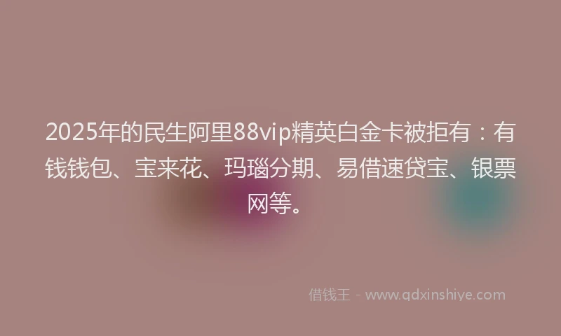 2025年的民生阿里88vip精英白金卡被拒有：有钱钱包、宝来花、玛瑙分期、易借速贷宝、银票网等。