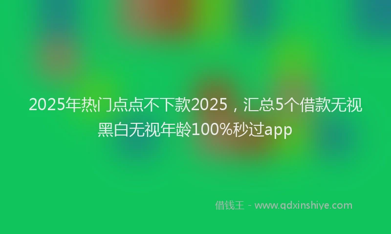 2025年热门点点不下款2025，汇总5个借款无视黑白无视年龄100%秒过app