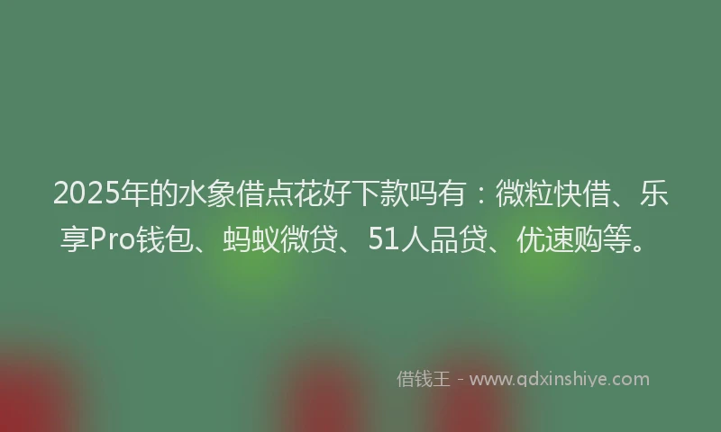 2025年的水象借点花好下款吗有：微粒快借、乐享Pro钱包、蚂蚁微贷、51人品贷、优速购等。