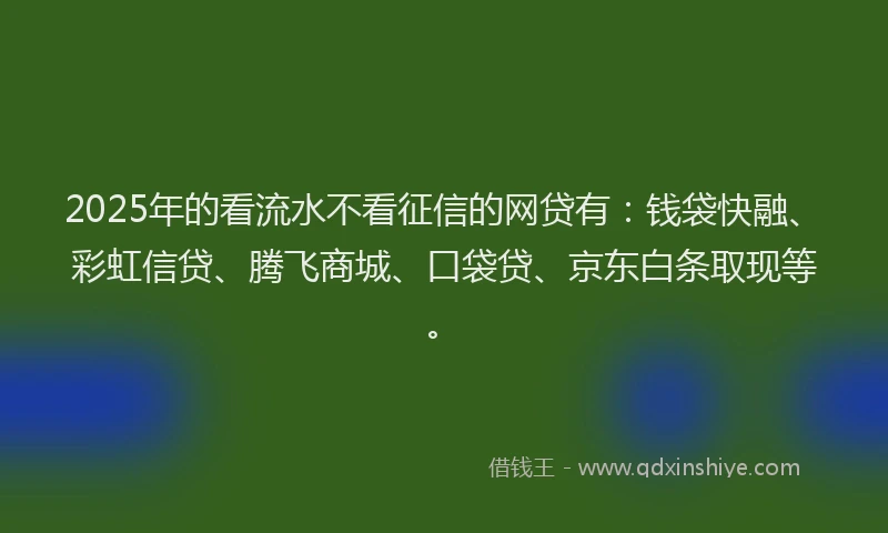 2025年的看流水不看征信的网贷有：钱袋快融、彩虹信贷、腾飞商城、口袋贷、京东白条取现等。