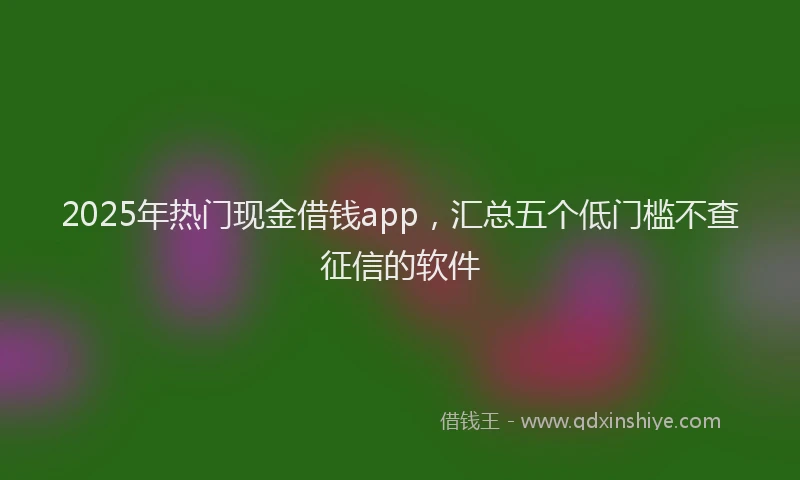 2025年热门现金借钱app，汇总五个低门槛不查征信的软件