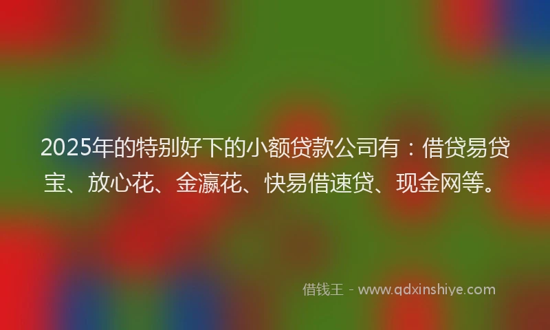2025年的特别好下的小额贷款公司有：借贷易贷宝、放心花、金瀛花、快易借速贷、现金网等。