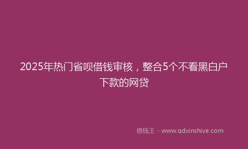 2025年热门省呗借钱审核，整合5个不看黑白户下款的网贷