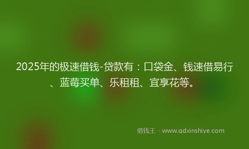 2025年的极速借钱-贷款有：口袋金、钱速借易行、蓝莓买单、乐租租、宜享花等。